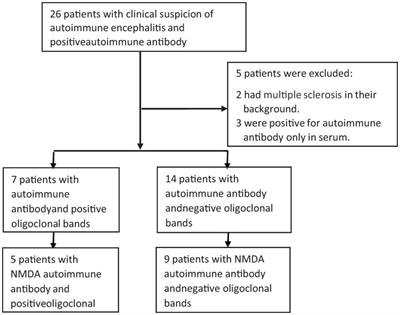 Cognitive impairments in autoimmune encephalitis: the role of autoimmune antibodies and oligoclonal bands